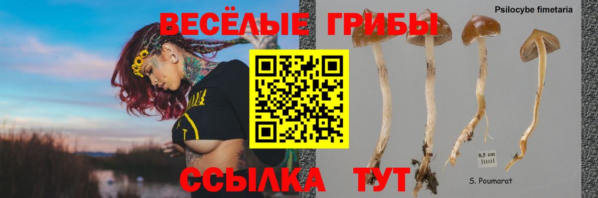 Галлюциногенные грибы MAGIC MUSHROOMS  Вход с VPN  Галлюциногенные грибы прущие грибы  что такое   Воркута 